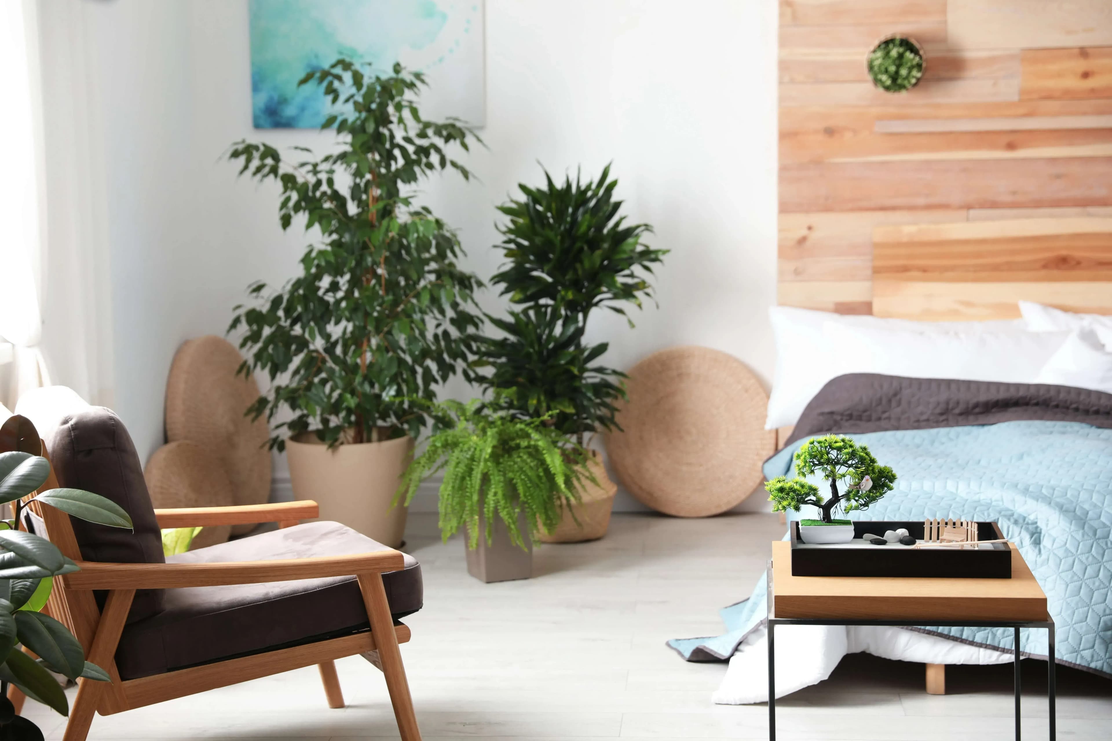 Feng Shui für mehr Lebensenergie in Ihrem Zuhause – Beratung in Mattighofen & Umgebung